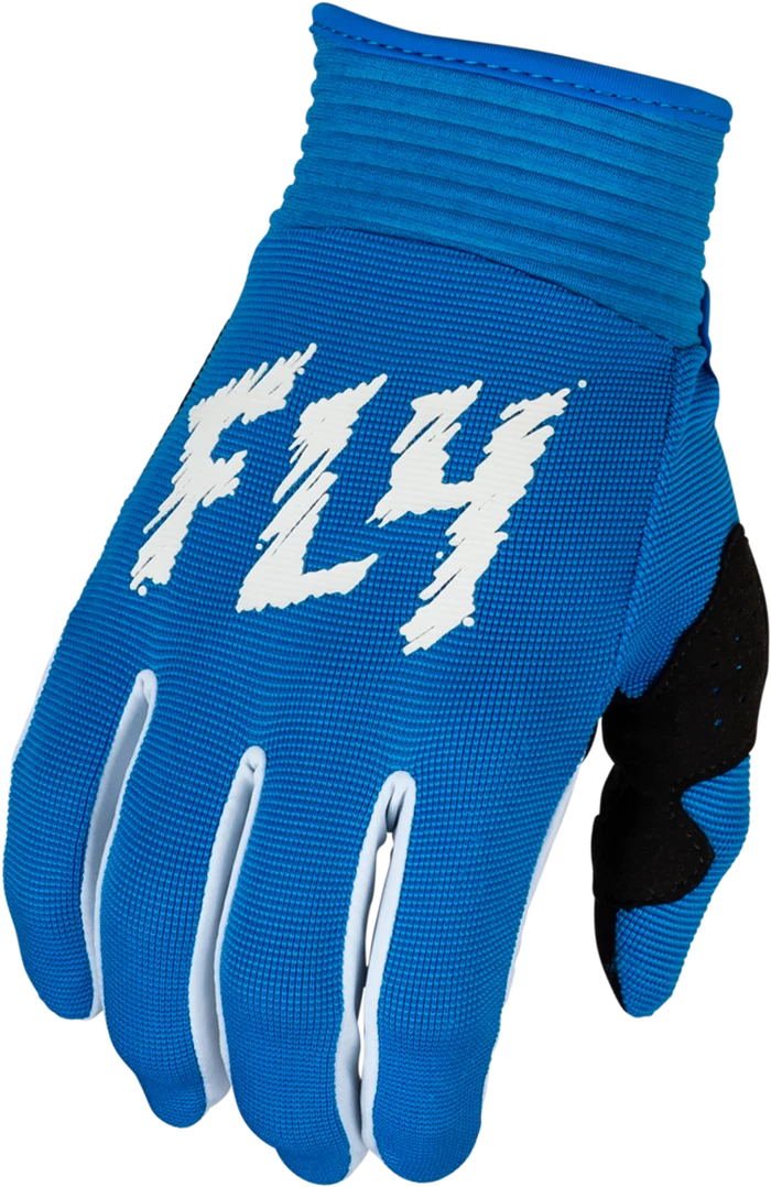 Fly Racing Youth Edition F-16 Gloves (2024)