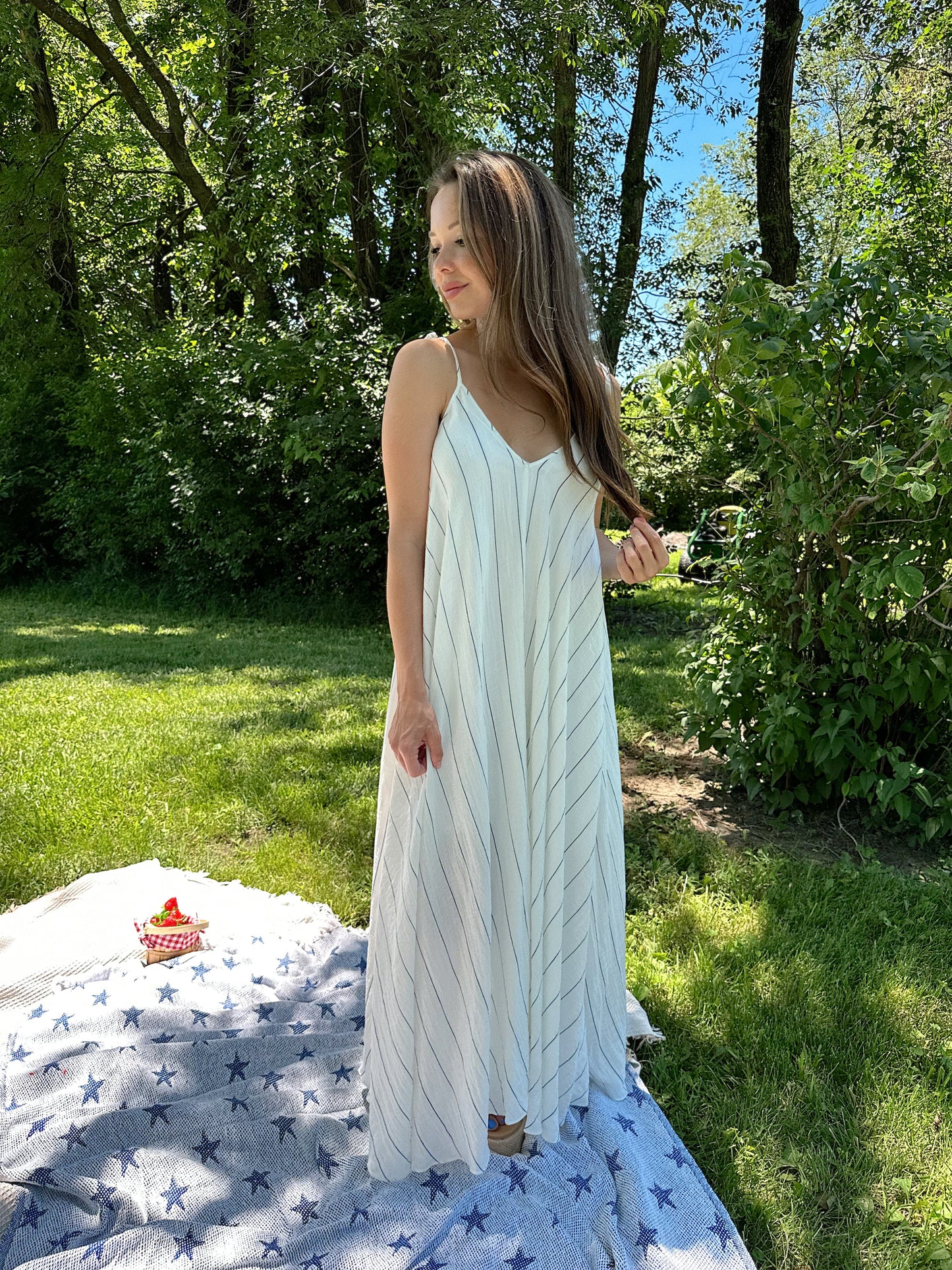 Frankie White and Blue Stripe Tie Maxi Dress